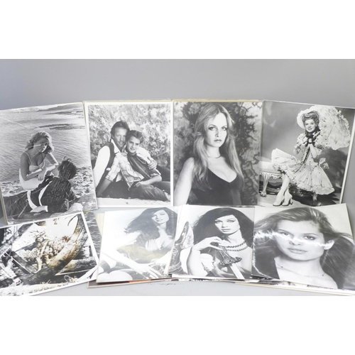 673 - Film promo photographs including Jane Mansfield, Raquel Welch, James Dean, etc. (40)