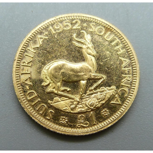 1036 - A South Africa 1952 £1 gold coin, 8g