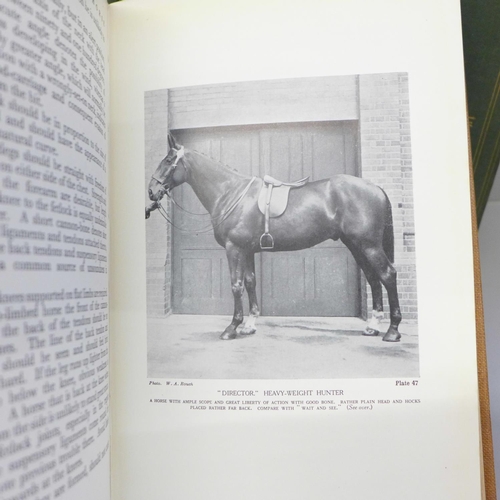 623 - Three books, equestrian themed; Black Beauty by Anna Sewell, The Lonsdale Library of Sports, Games a... 