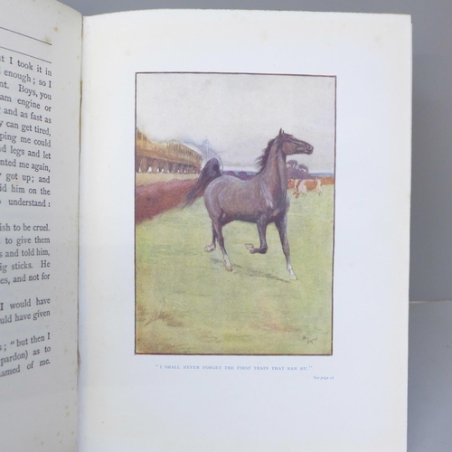 623 - Three books, equestrian themed; Black Beauty by Anna Sewell, The Lonsdale Library of Sports, Games a... 