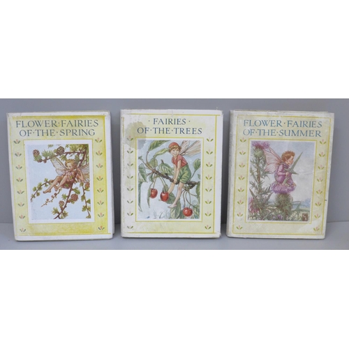 640 - Flower Fairies of the Trees, Spring and Summer, Cicely Mary Barker, illustrated (3)