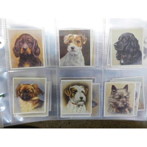 746 - A large collection of cigarette cards and tea cards in two trays, covering many themes, cards in set... 