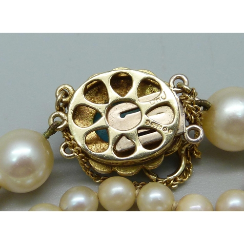 953 - A graduated pearl necklace with 9ct gold and turquoise clasp, 90cm