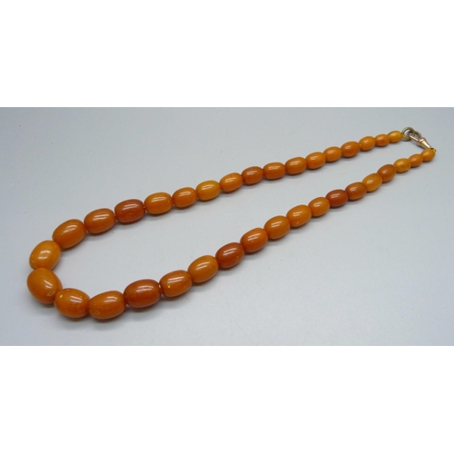 982 - A string of butterscotch amber beads, 43g