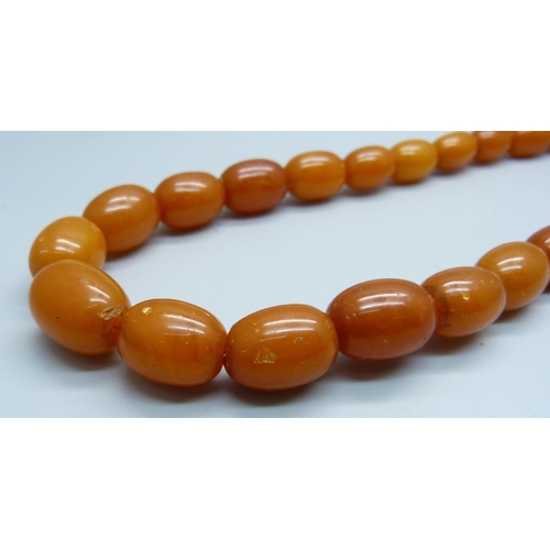 982 - A string of butterscotch amber beads, 43g