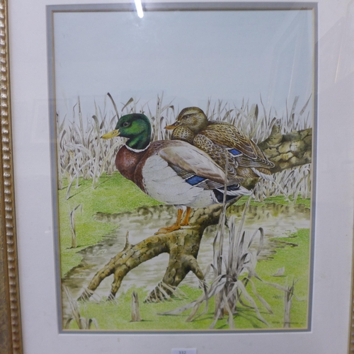 332 - Peter Carrington, study of ducks, watercolour, dated 1963, framed