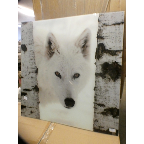 1569 - A large glass wall art panel of an Arctic Fox