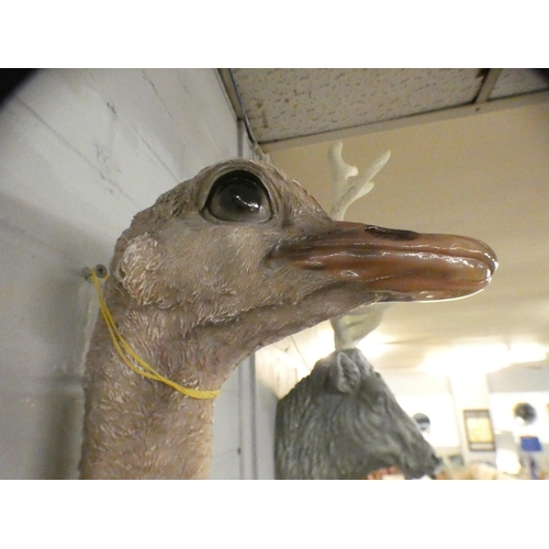 1419 - A wall mounted ostrich head