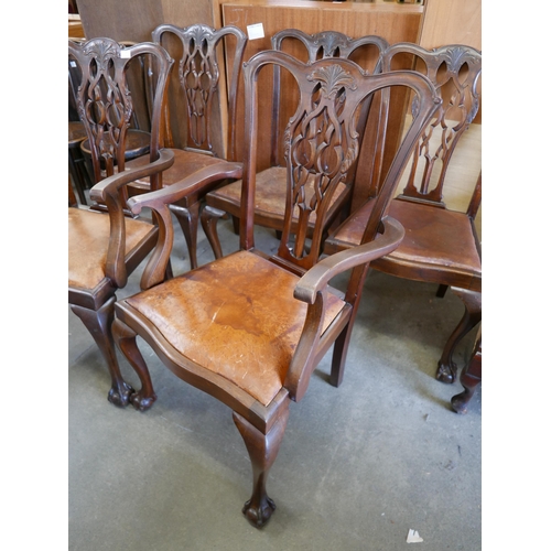 129 - A set of five Chippendale Revival mahogany dining chairs