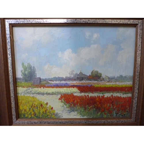 265 - T. Cox, rural landscape with tulip fields, oil on canvas, framed