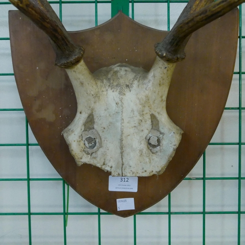 312 - A pair of mounted deer antlers