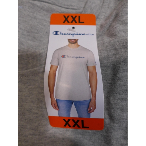 3241 - Quantity of men's grey Champion t-shirts - mixed sizes * This lot is subject to VAT