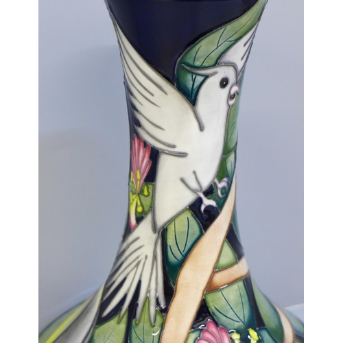 615 - A limited edition Moorcroft vase, James Joy, signed K (Kerry) Hopkinson, shape no. 62/7 1/2, boxed