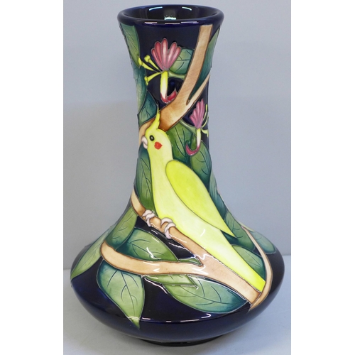 615 - A limited edition Moorcroft vase, James Joy, signed K (Kerry) Hopkinson, shape no. 62/7 1/2, boxed