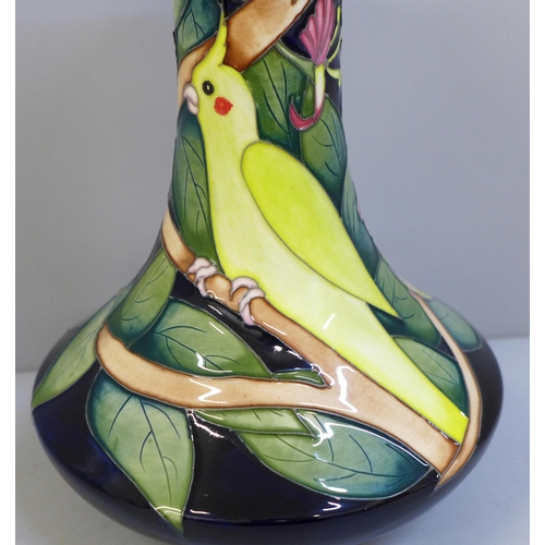 615 - A limited edition Moorcroft vase, James Joy, signed K (Kerry) Hopkinson, shape no. 62/7 1/2, boxed