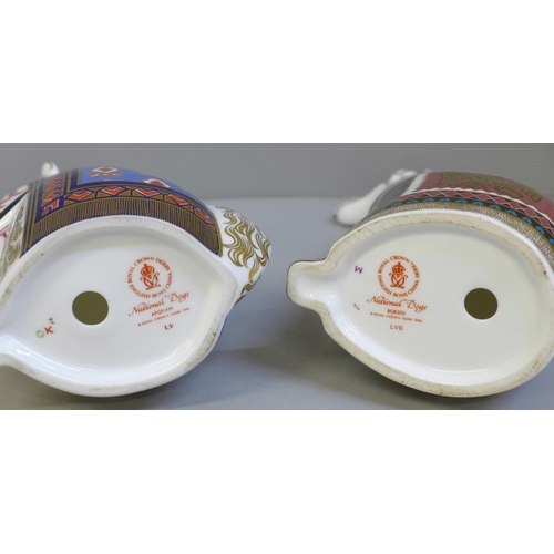 641 - Two Royal Crown Derby National Dog paperweights, Afghan and Borzoi, second quality