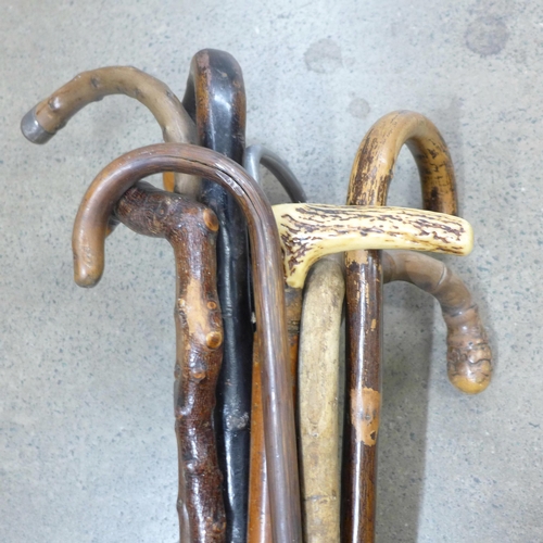 851 - Walking sticks, two with silver embellishments and a shooting stick