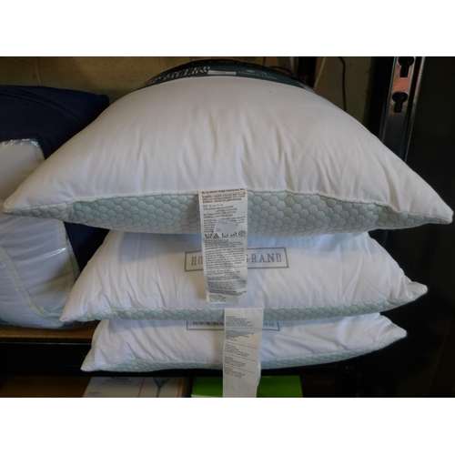 3008 - 3 x Hotel Grand Summer/Winter Pillows (306-351) * This lot is subject to VAT