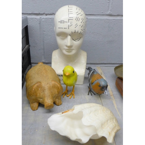 1102 - A phrenology head by L.N. Fowler, two models of birds and a model of a pig, etc. **PLEASE NOTE THIS ... 