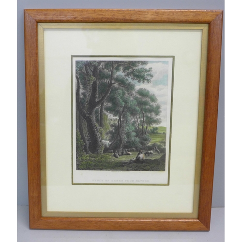 606 - A framed and mounted engraving, after Claude Lorraine by G.A. Chocarne, Study of Trees from Nature