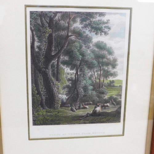 606 - A framed and mounted engraving, after Claude Lorraine by G.A. Chocarne, Study of Trees from Nature