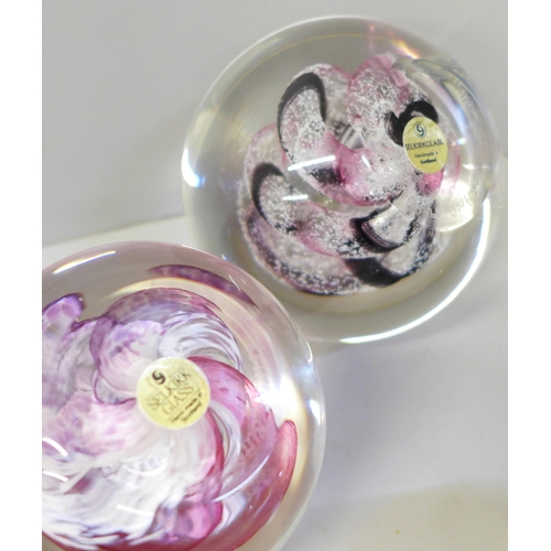 679 - Fourteen glass paperweights including Caithness and Selkirk, and one other paperweight