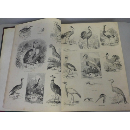 770 - Two volumes, The Pictorial Museum of Animated Nature, published by Charles Knight & Co., London