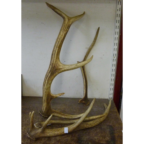 367 - Four assorted deer antlers