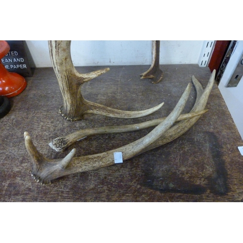 367 - Four assorted deer antlers