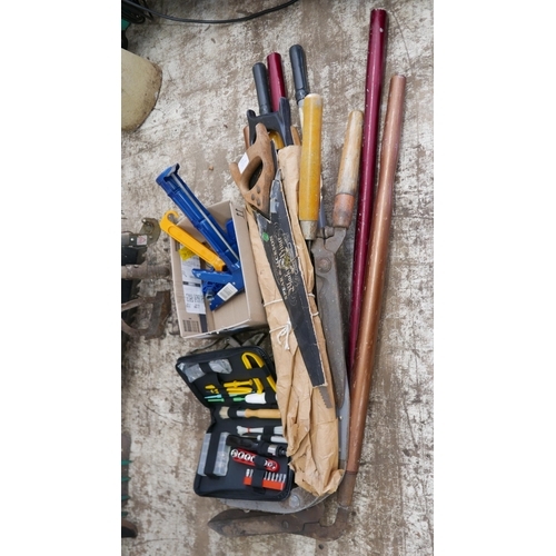 2274 - A quantity of shears and saws and a small box of miscellaneous tools