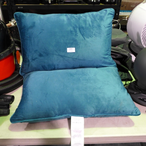 3391 - Teal Velvet Oblong Cushions (14cm x 22cm) (307-207) * This lot is subject to VAT