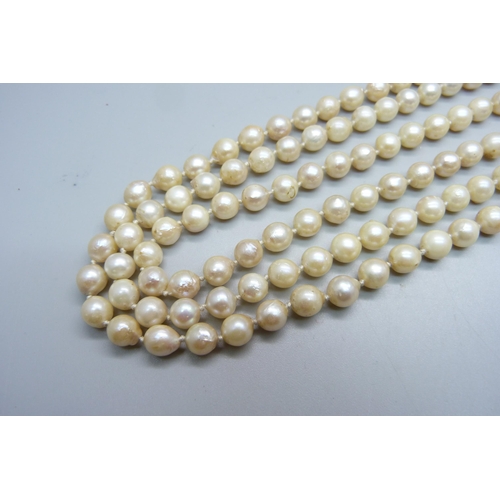 1029 - A triple row of baroque pearls on a Victorian yellow metal and cabochon garnet clasp, 94.7g, 44cm, (... 