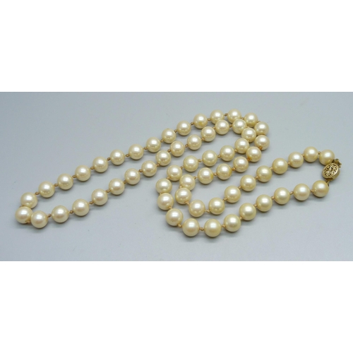 1069 - A string of faux pearls with gold tone clasp