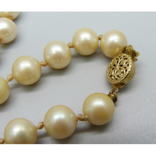 1069 - A string of faux pearls with gold tone clasp