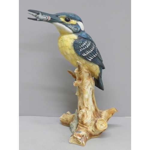 607 - A Capodimonte model of a kingfisher, with Neapolitan stamp, 24cm