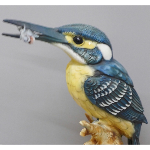 607 - A Capodimonte model of a kingfisher, with Neapolitan stamp, 24cm