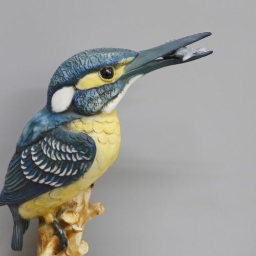 607 - A Capodimonte model of a kingfisher, with Neapolitan stamp, 24cm