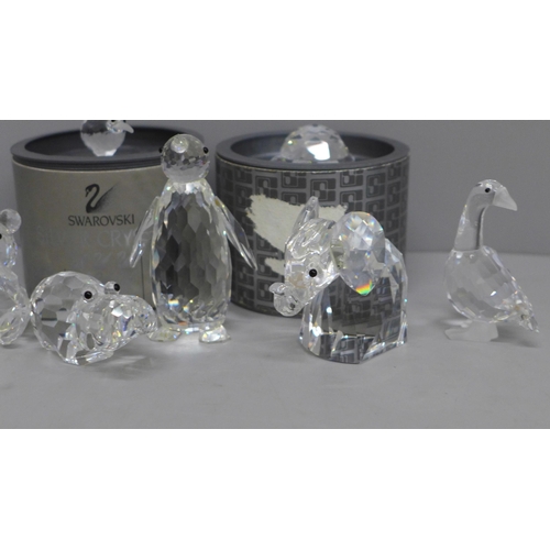 635 - A collection of eight Swarovski animals including two boxed