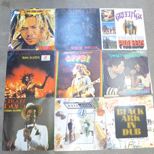 709 - Fifteen Reggae LP records including Bob Marley, Peter Tosh, Dobby Dobson, etc.