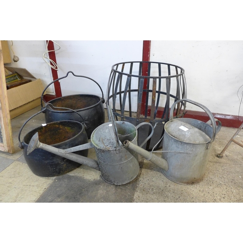 251 - Two cast iron cauldrons, a wrought iron planter and two galvanised watering cans