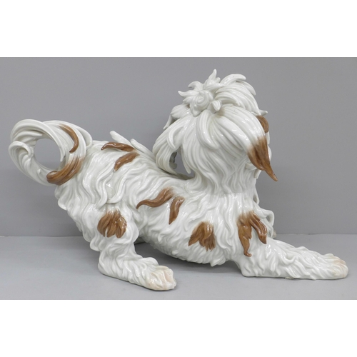 607 - An Algora Spanish model of a Bolognese Terrier, 39cm long, 25cm tall