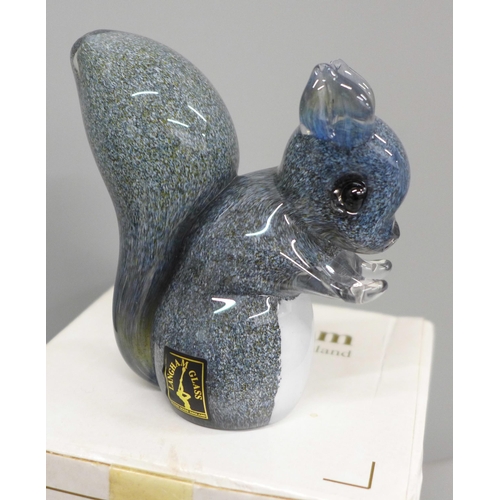 652 - A Langham glass squirrel, two Caithness paperweights, Moonflower and Gold Rush and a Caithness Mille... 