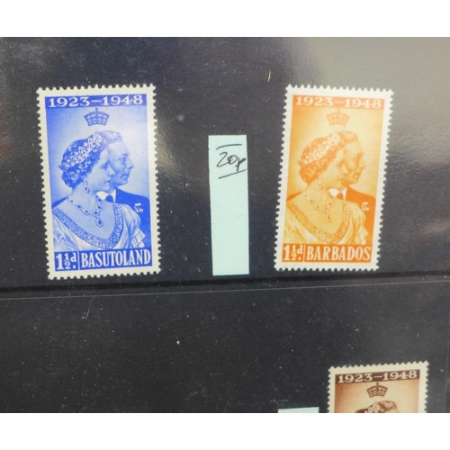 728 - Stamps; Commonwealth Omnibus stamps in two albums with many King George VI Coronation onwards