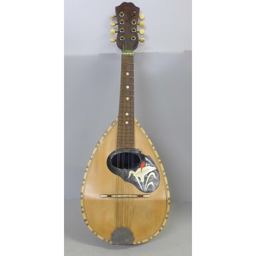 832 - A mandolin, case back split in one area, cased