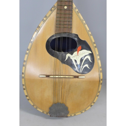 832 - A mandolin, case back split in one area, cased