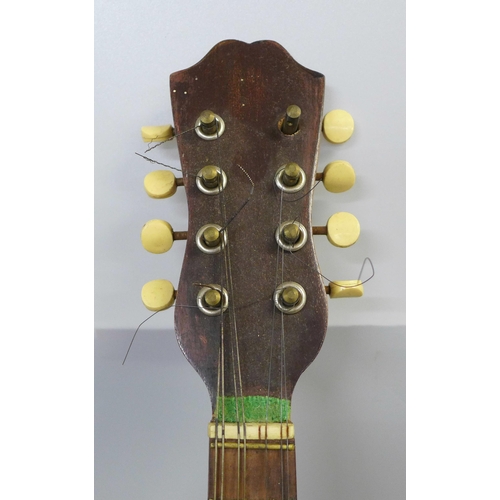 832 - A mandolin, case back split in one area, cased