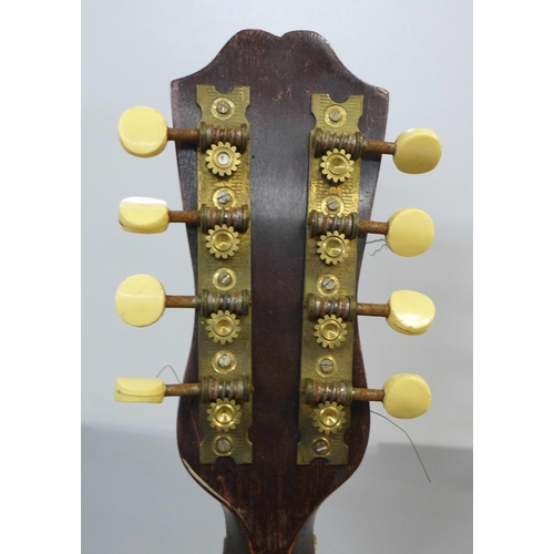 832 - A mandolin, case back split in one area, cased