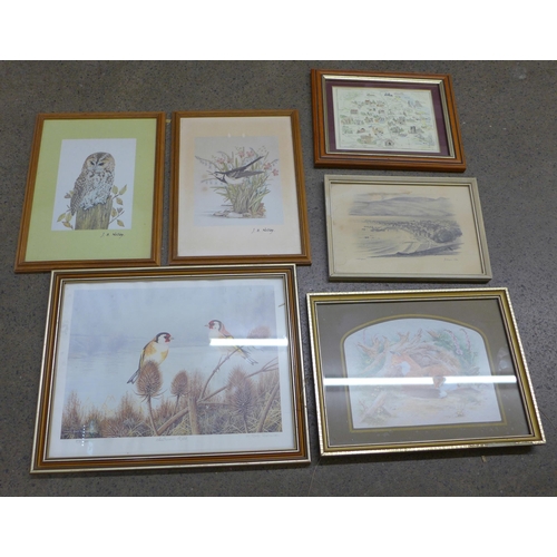 1120 - A collection of eleven prints, framed and three frames **PLEASE NOTE THIS LOT IS NOT ELIGIBLE FOR PO... 