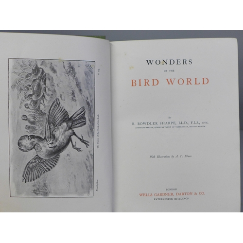 688 - Three volumes; British Birds' Nests, Kearton, published by Cassell & Co., 1898, Wonders of the Bird ... 