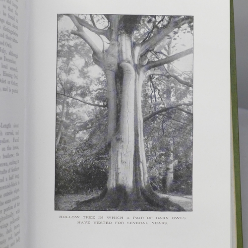 688 - Three volumes; British Birds' Nests, Kearton, published by Cassell & Co., 1898, Wonders of the Bird ... 